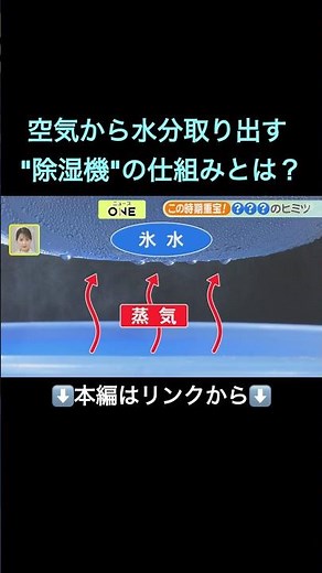 ⬆️本編はリンクから⬆️【実験】梅雨に重宝する「除湿機」部屋をカラッとさせる仕組みは？空気から水分を取り出す流れも解説 凍らせたペットボトルを使う“超簡単”な除湿も#shorts