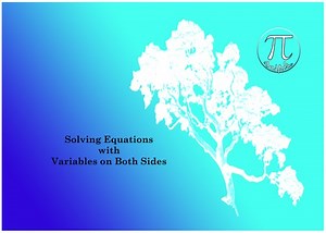 Equations with Variables on Both Sides