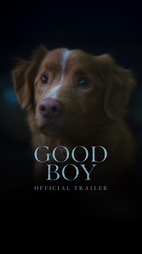 Good Boy on Instagram: "Who’s a good boy? Watch the OFFICIAL TRAILER for the SXSW horror sensation. #GoodBoy is In Theaters October 3."