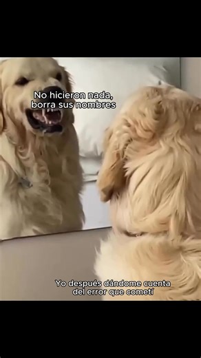 Cosas que pasan en laboratorio 😅 #divulgacioncientifica #laboratorio #ciencia #memes | Biology Things