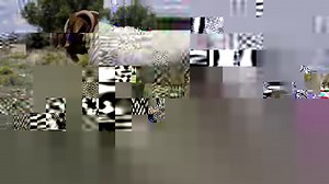 203 reactions · 58 shares | The 9th Bobaas Boer Goat Digital Sale will take place on 19 February 2022 from 11:00 on the BKB Digital Auctions Platform. On offer from Lucas Burger: 15 Bucks 40 Does On offer from Johan & Danie Strauss: 15 Bucks 40 Does For more information, visit https://events.bkb.co.za/event/bobaas-boer-goat-digital-auction/ | BKB | Facebook