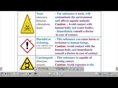SCIENTIFIC INVESTIGATION: LESSON 4