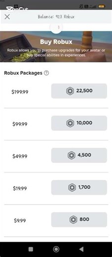 #roblox Look how much robux I have