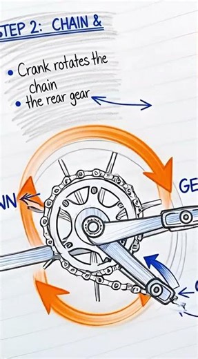 “How Bicycle Gears Work 🚴‍♂️ | Simple Physics Explained” #stemshorts #learninaminute #techexplained