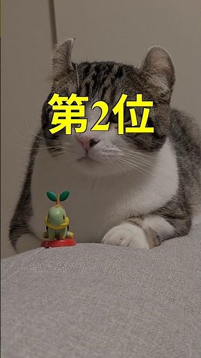 [Cats] Top 3 Gentle Cats [Easy to Keep as Pets]