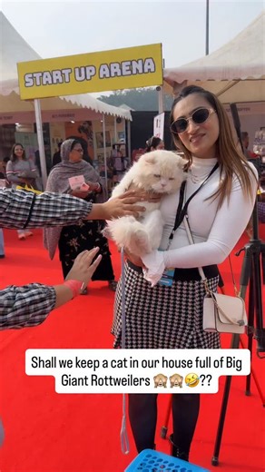 Namita Dua - Namitaology (BUBZEE , LADY OLLIE & ZOEY) | Shall we get home a cat in our house full of big giant Rottweilers ??? . . . [rottweiler dog,rottweiler puppies,rottweiler... | Instagram