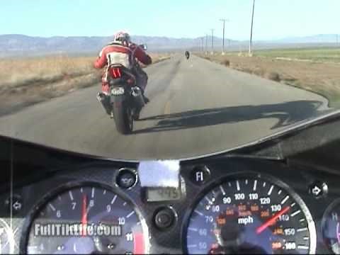 Suzuki SV1000 vs Hayabusa -Just how much faster is the Busa?