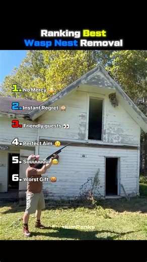 Ranking Best Wasp Nest Removal 🤣😅