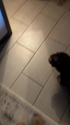 Poppy’s world #morningroutine | Cort Anderson