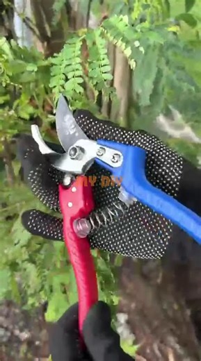MY DIY SALI 8" Heavy Duty SK85 Pruning Shears Garden Shears Cutter Garden Scissor Snip Gunting Dahan