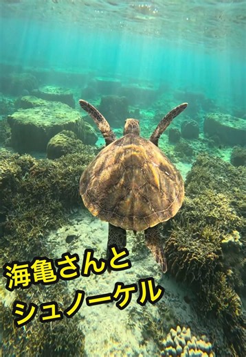 Exploring the Beautiful Ocean of Okinawa