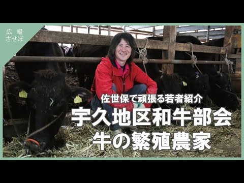 和牛の繁殖農家（佐世保で頑張る若者紹介）