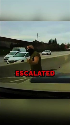 Tesla Driver Freaks Out