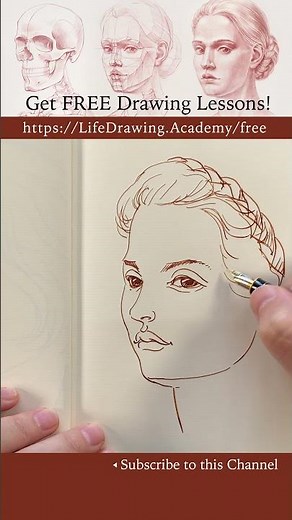How to Draw a Female Portrait Quickly - https://lifedrawing.academy/free