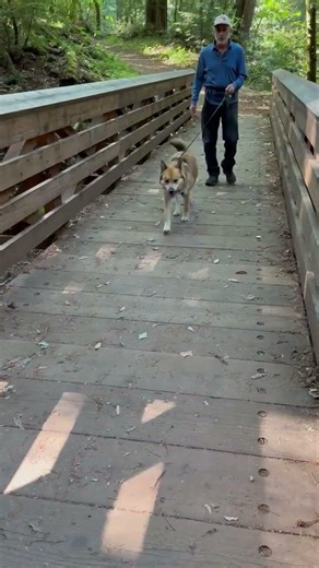 GSRNC-Starfox Taking a Walk