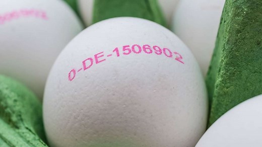 Eier-Code: Was bedeuten die Ziffern und Zeichen auf dem Ei?