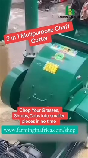 43 reactions · 9 comments | Need a faster way to chop your grasses, shrubs and cobs? Check out this multipurpose chaff cutter machine! #farminginafrica #semanhyiafarms #livestockfarming #livestockfeed #farmmachinery | Farming In Africa | Facebook