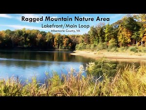 Ragged Mountain Nature Area - Lakefront/Main Loop - Albemarle County, VA