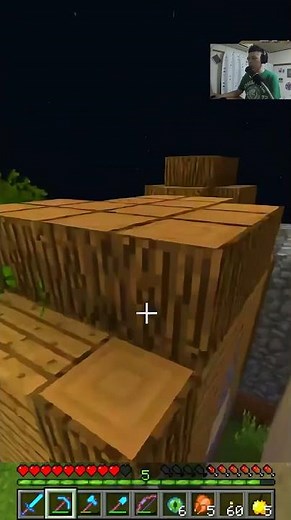 A STRANGER ENTERED MY WORLD — Minecraft