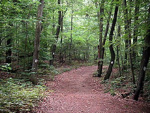 Miller's Pond Reaches Capacity