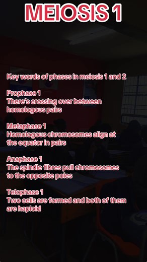 MEIOSIS 1 #MamRadebe #LIFESCIENCE
