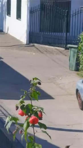 CHILE.PAISDEVIDEOS on Instagram: "Crédito @sergio_ssierra"