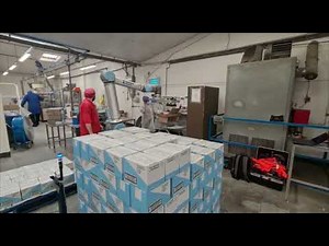 Palletizing with Universal Robots UR10e, Pally & Ewellix