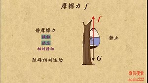 13. 摩擦力及其分类