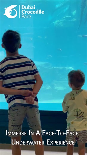 Unlock the wonders of crocodiles! Embark on a 200-million-year journey through time in a unique crocodile museum, aquarium and semi-shaded outdoor park. | Dubai Crocodile Park