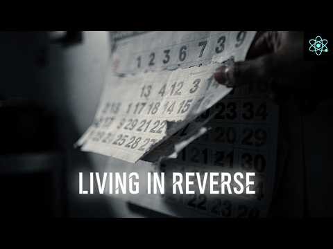 Reverse Time Simulation: What Actually Happens?