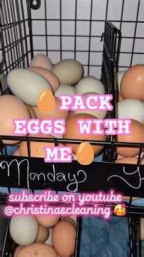 #smallbusiness #chicken #egg #farm #Jesuslovesyall