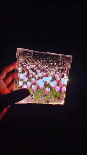 The rarest lotus varieties revealed #flowers #garden #shorts