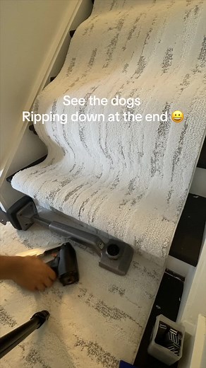 Durable Pet Perfect Stair Runner Installation by DirectCarpet.com