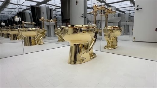 Watch: Fully functional gold toilet sells for $12m