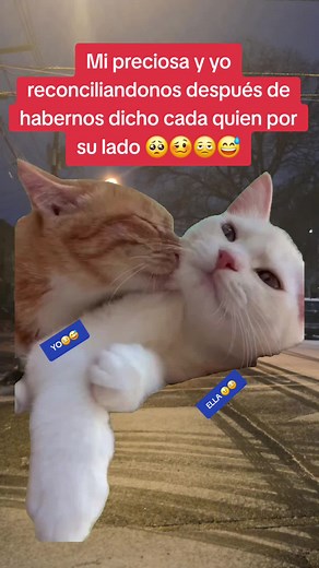 Funny Reconciliation Memes for the Holidays