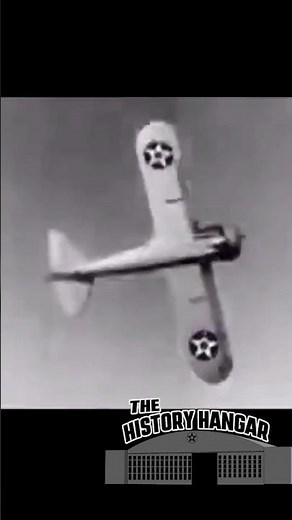 Grumman’s Forgotten Fighter #thehistoryhangar #militaryaircraft #aviationhistory #F3F