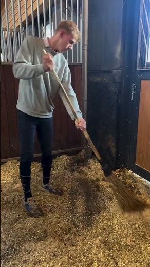 How Luxury Horse Stables Use Hidden Vacuum Systems for Effortless Cleaning?
