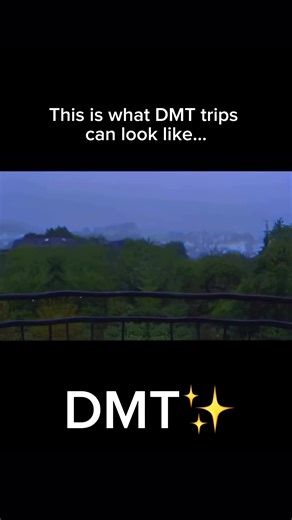 Exploring DMT Trips: A Visual Journey
