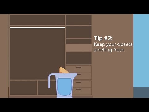 Freshen Up: 3 Home Deodorizing Tips | Allstate Insurance