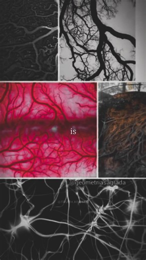 Nikola‘s Tesla Universal „369“ Theory #nikolatesla #universe #369 #theory #theoryhub #conspiracy #conspiracytiktok #secrets #truth #ancient #knowledgeispower | Truth.xposer