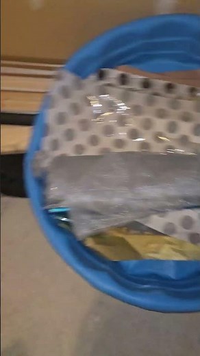 Heavy Mice Activity Found in Furnace Room | Sticky Trap Setup Inspection.