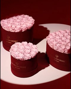 This is your sign to treat her to the original forever roses that last YEARS, not days 🌹 | The Million Roses