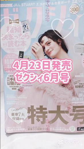 ゼクシィ6月号 ジルスチュアートのエコバッグ＆合皮ポーチ