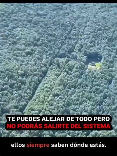 El sistema de la élite es una estructura sociopolítica y económica donde un pequeño grupo minoritario concentra la mayoría del poder, la riqueza y los privilegios, influyendo decisivamente en la sociedad. Se basa en la organización de clases dominantes, élites gobernantes y redes de influencia que aseguran la perpetuación de su posición.#viralreels #sistema #conspiracion #elite #secret