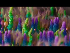 Podcast-MRI: Unpacking Phase Encoding and the Y Axis Challenge