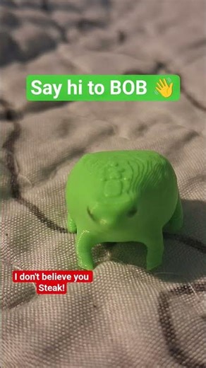 BOB will go under your bed if you don't like! #frog #green #facts