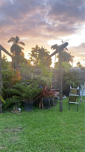 #dirtbike@john_smithy #yamaha#dontstopbelieving