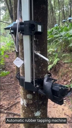 Automatic rubber tapping machine