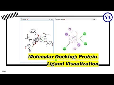 Molecular Docking: Protein-Ligand Visualization