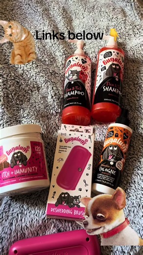 @Bugalugs Pet Care we love this brand all great quality highly recommend them #bugalugs #petcare #furbabys #foryoupage🥰🥰😘 #dog